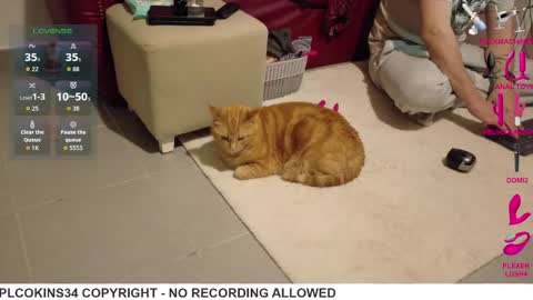 cplcokins34 online show from April 17, 12:07 pm