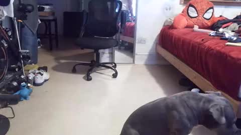 drbucknaked online show from April 16, 11:07 pm