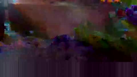 creameatr online show from October 10, 2:01 pm