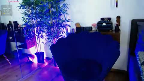 Sophie online show from December 3, 12:28 pm