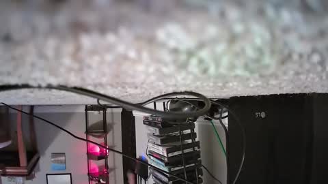 creature__cumfort online show from March 11, 2:14 am