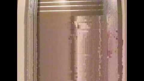 csunny37 online show from April 12, 3:27 pm