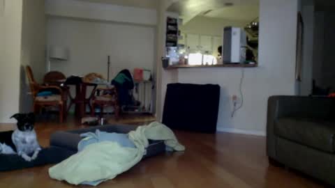 cumfiesta1 online show from January 1, 4:29 pm