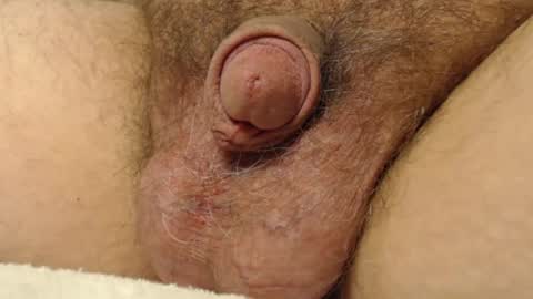 curve66 online show from November 17, 11:07 pm