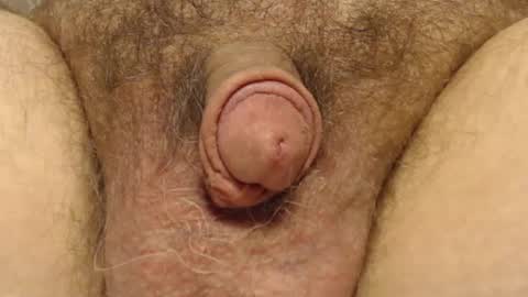 curve66 online show from February 6, 4:25 pm