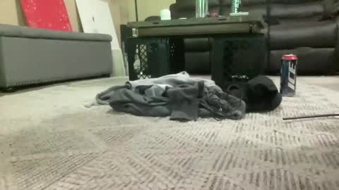 CuteUwUboytoy online show from February 15, 7:43 am