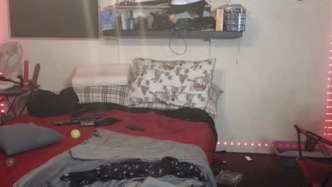 D0pey42O online show from October 20, 12:59 am