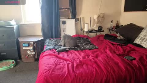 D0pey42O online show from October 11, 12:54 pm