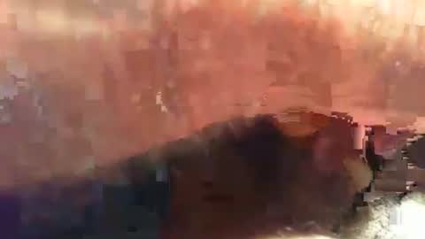 dacredleg online show from September 25, 1:29 pm