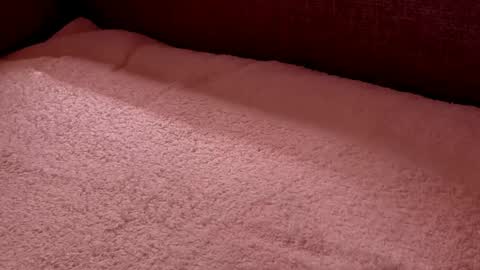  Richard  online show from February 27, 9:58 pm