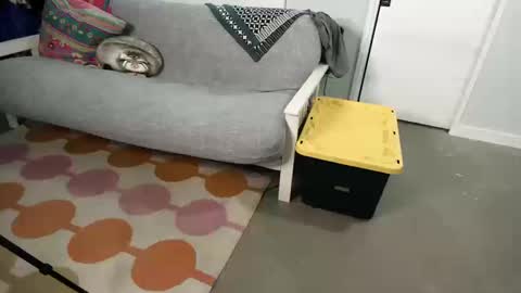 bas online show from October 19, 2:16 am