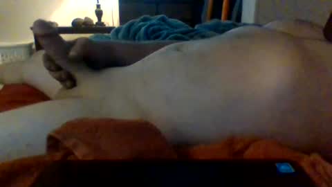 daddywhite88 online show from August 6, 2:31 am