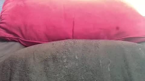 daddyy008 online show from November 17, 5:04 pm