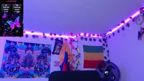 Dakko online show from January 10, 11:04 am