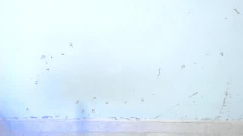 Snapshot of dakkotta_curvy chatting on October 16, 9:09 am VALENTINA online show from October 16, 9:09 am