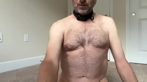 slave being trained online show from June 25, 2:11 pm