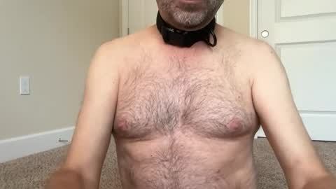 slave being trained online show from June 20, 2:34 pm