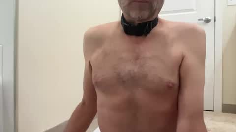slave being trained online show from June 22, 6:10 am