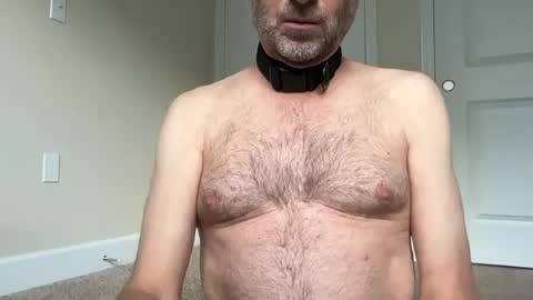 slave being trained online show from June 23, 1:50 pm