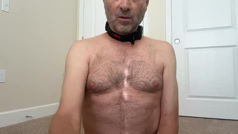slave being trained online show from June 18, 4:12 pm