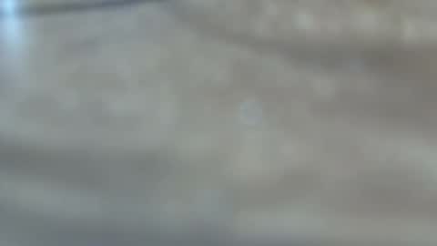 dancewhenyoucan9 online show from December 22, 10:49 pm