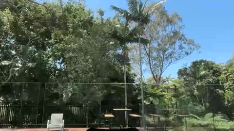 dartanian0001 online show from September 30, 2:00 am