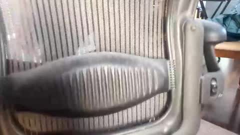 databass online show from February 26, 11:46 am