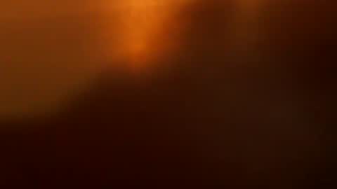 davdao3 online show from December 22, 7:15 am