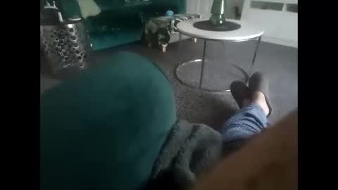 davf76 online show from January 8, 9:04 am