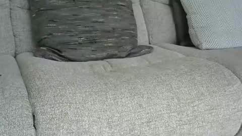 davidsmiff online show from May 22, 11:39 am