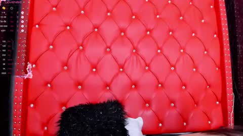 Snapshot of dawa_angels chatting on February 11, 11:42 am DAWA ANGELS online show from February 11, 11:42 am