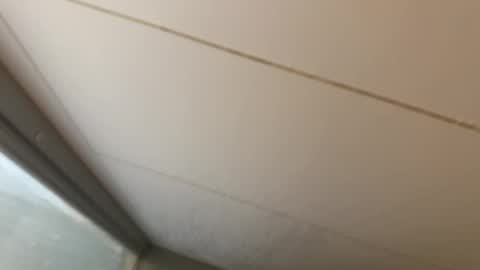 Hornybear online show from May 28, 5:49 am