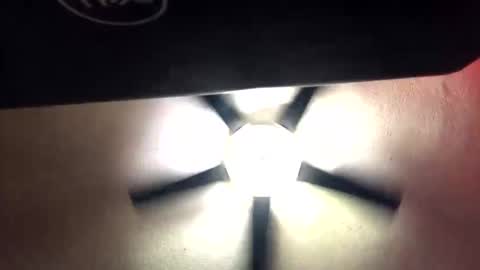 Bojelly online show from November 22, 3:16 am