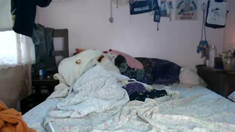 poutyangel online show from June 19, 2:28 am