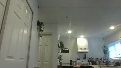 dex12112111 online show from February 14, 7:49 pm