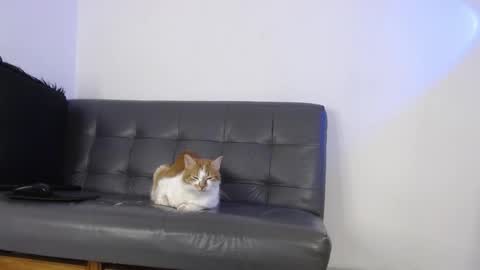 Deysha online show from February 1, 4:09 am