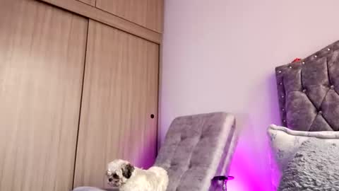 DIANE online show from February 19, 11:53 am