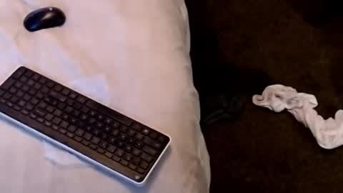 Sparkx online show from December 22, 4:30 am