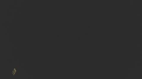 Snapshot of dinchtcams chatting on February 24, 10:04 am Dincht online show from February 24, 10:04 am