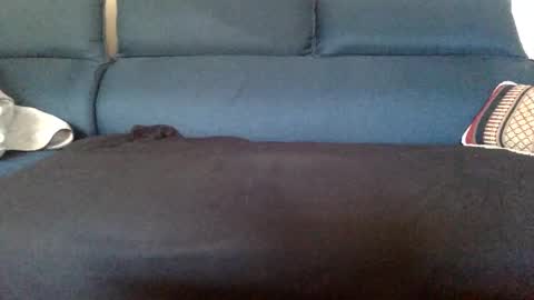 dinnerout1111 online show from February 17, 8:52 am