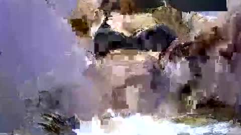 dixsonnnnn online show from November 2, 3:01 pm