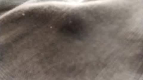 dlov3 online show from February 8, 10:13 pm