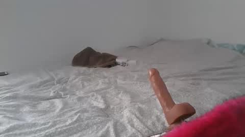 Alzest online show from November 8, 1:25 pm