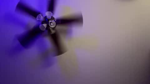 donaldimonddick online show from March 28, 10:38 am