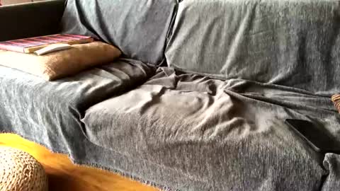 Alfredo online show from February 9, 9:47 am