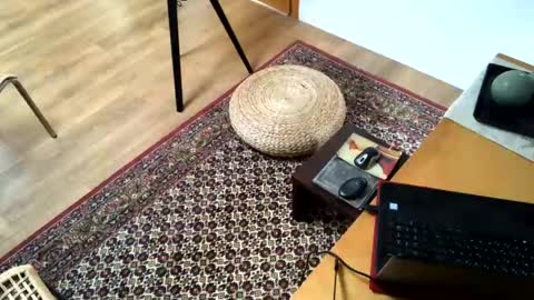 Alfredo online show from February 2, 2:24 pm