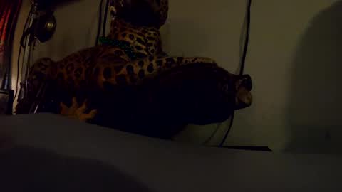 Sapphire Fox online show from October 2, 1:04 am