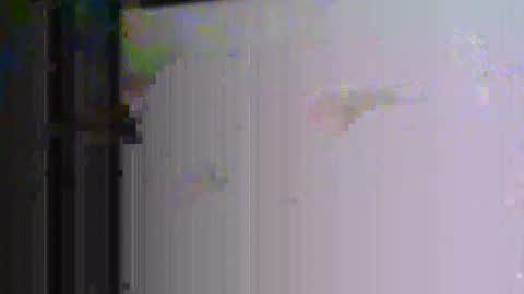 donosus online show from February 27, 12:09 pm