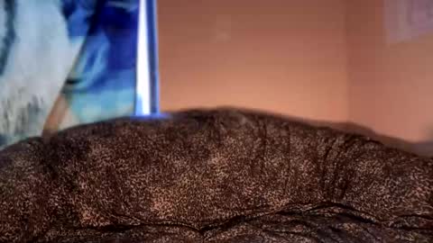 dove_love22 online show from January 12, 5:20 pm