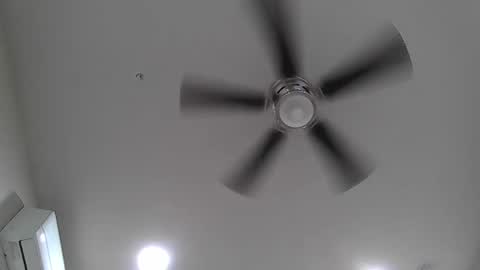 drexallen1 online show from November 13, 12:30 pm